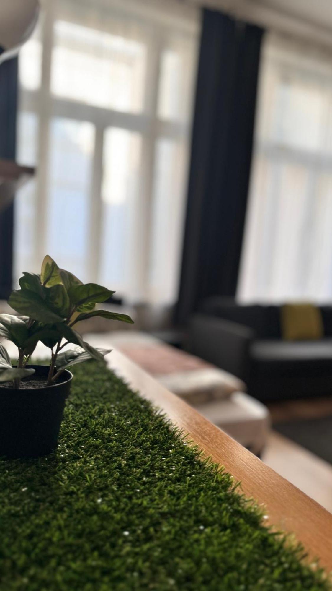 בודפשט Central Walk Fashionstreet Apartmnts מראה חיצוני תמונה